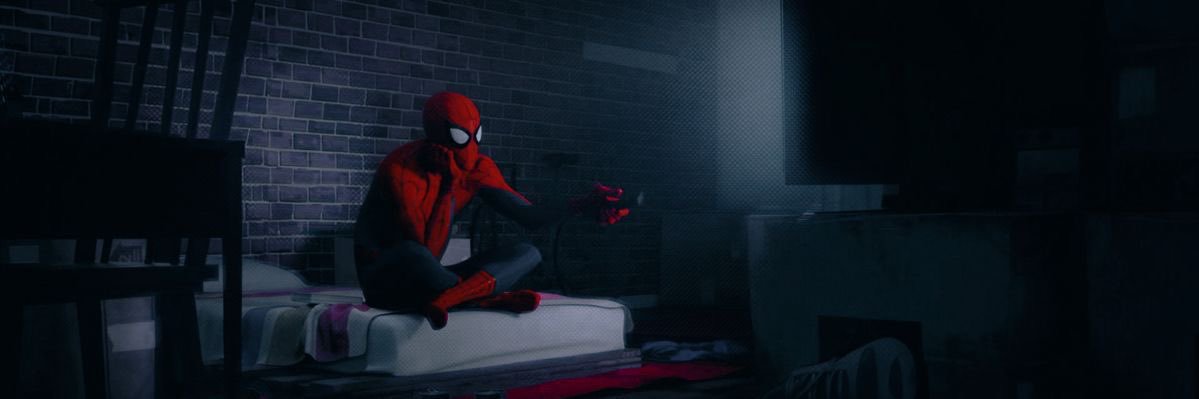 Spider-Man Vibe 🕷️'s banner