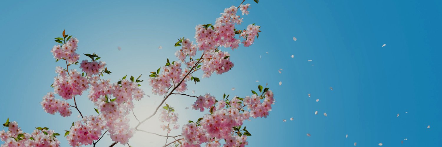 るなさくら熟女's banner
