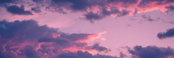 Katex🏳️‍⚧️'s banner