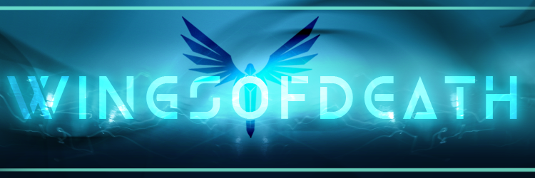 Wings's banner