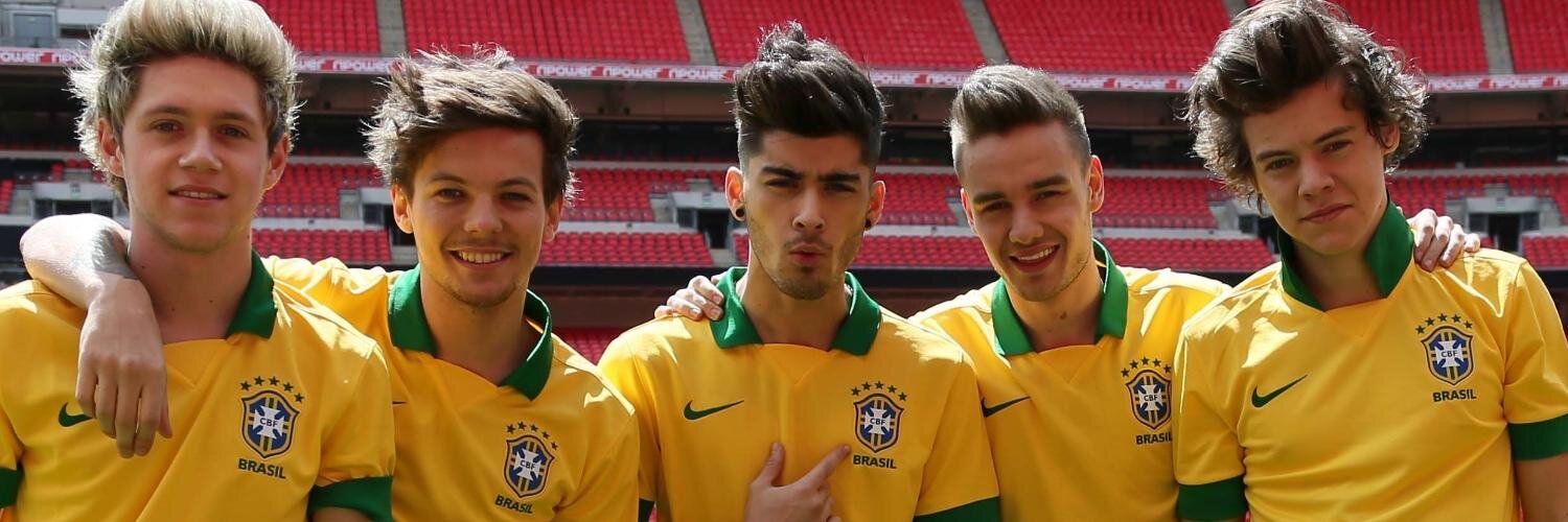 1D Updates Brazil's banner