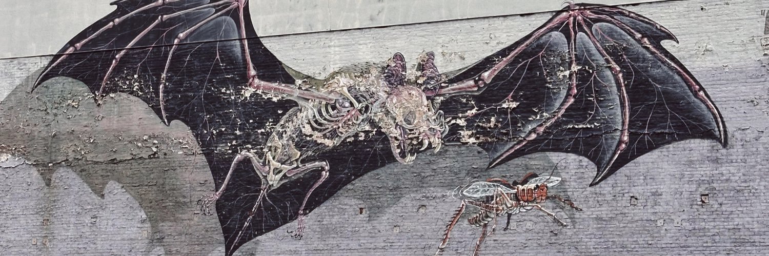 Jack's banner