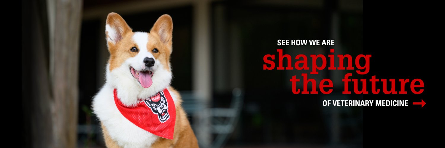NC State Vet Medicine's banner