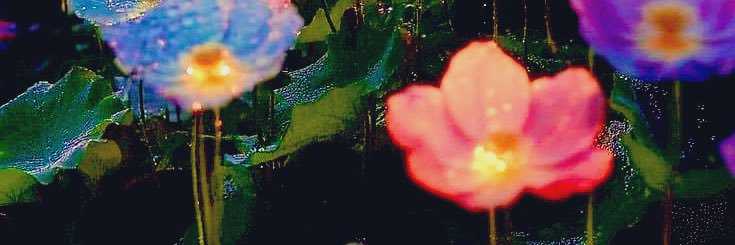 vibing💖aly's banner