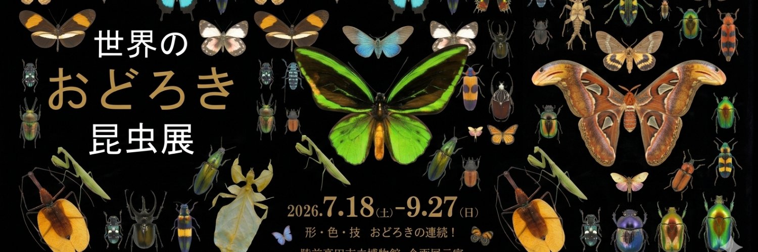 陸前高田市立博物館's banner