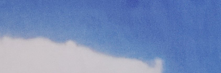 davide's banner