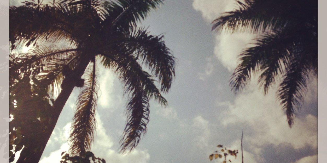 Roots Reggae Hub's banner