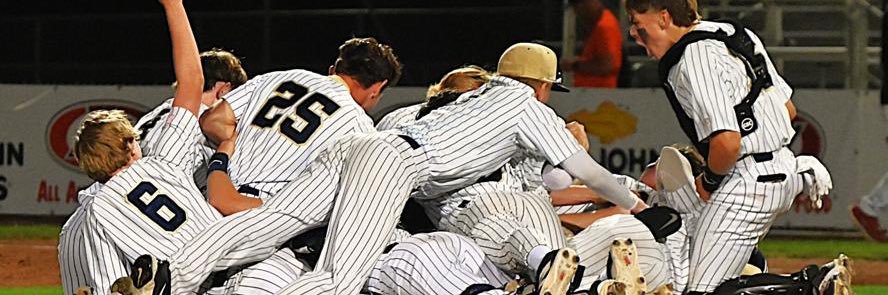Heelan Baseball's banner