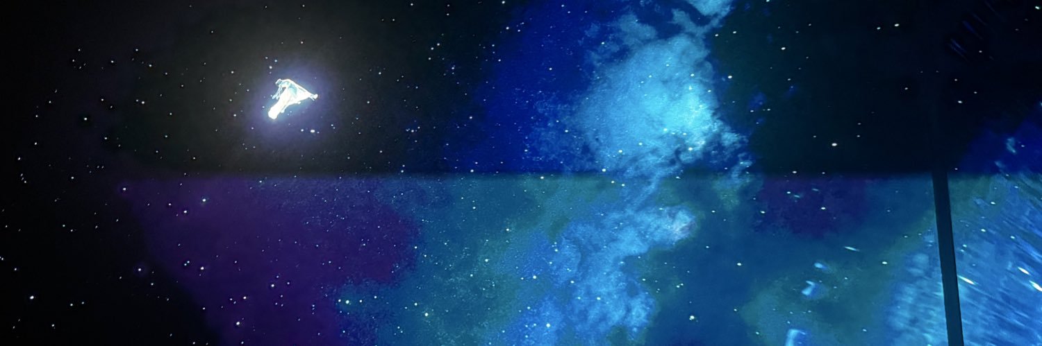 ali ꕤ's banner