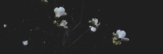 🖤 ℂ𝕚𝕒𝕣𝕒 🖤's banner