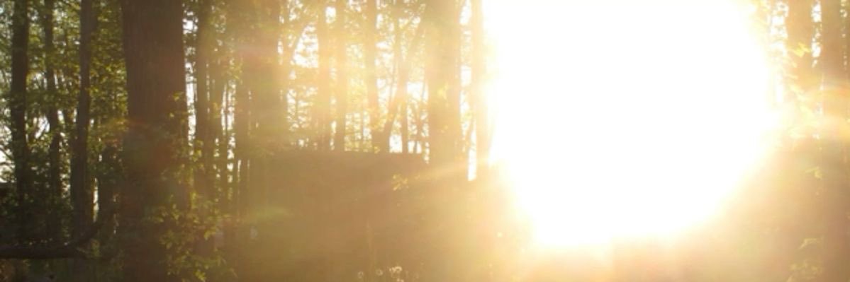 astrid's banner