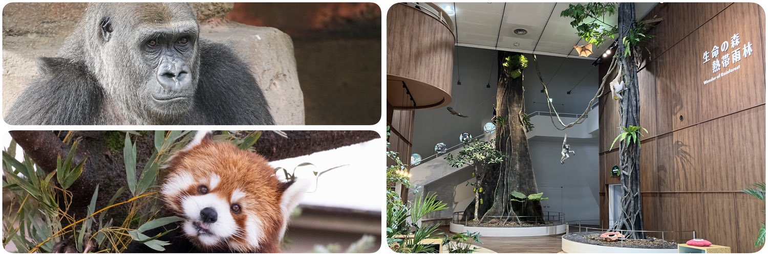 千葉市動物公園【公式】's banner