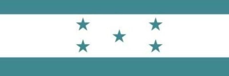 Ernesto's banner