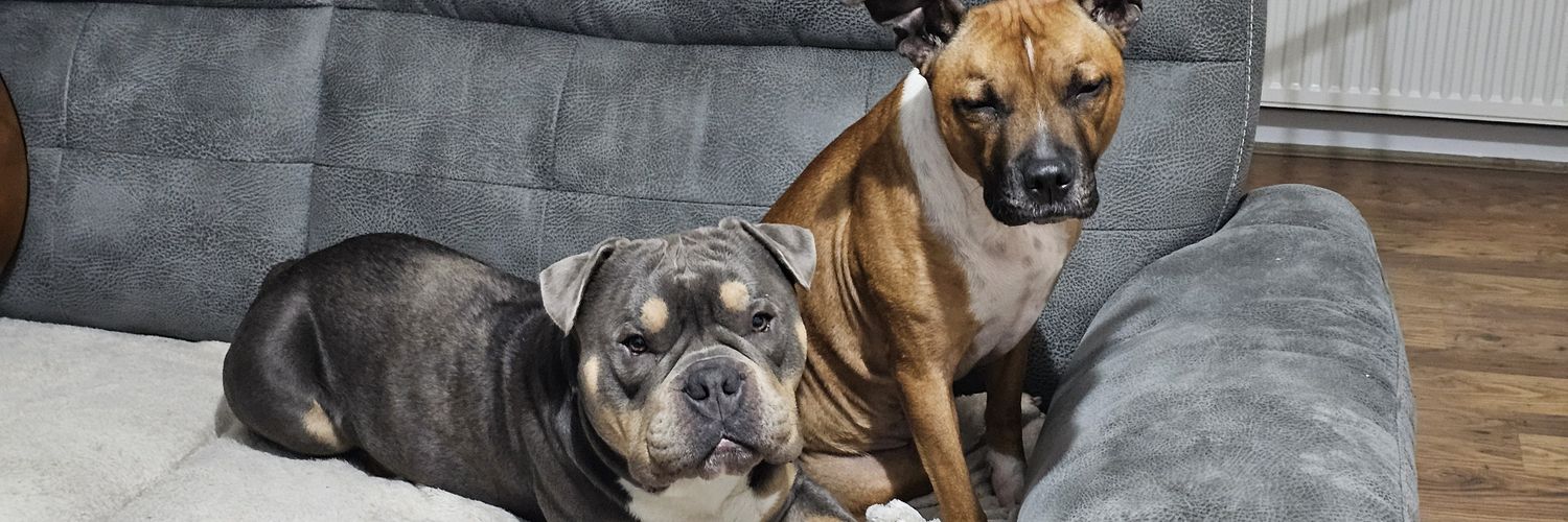 SnoopDeg's banner
