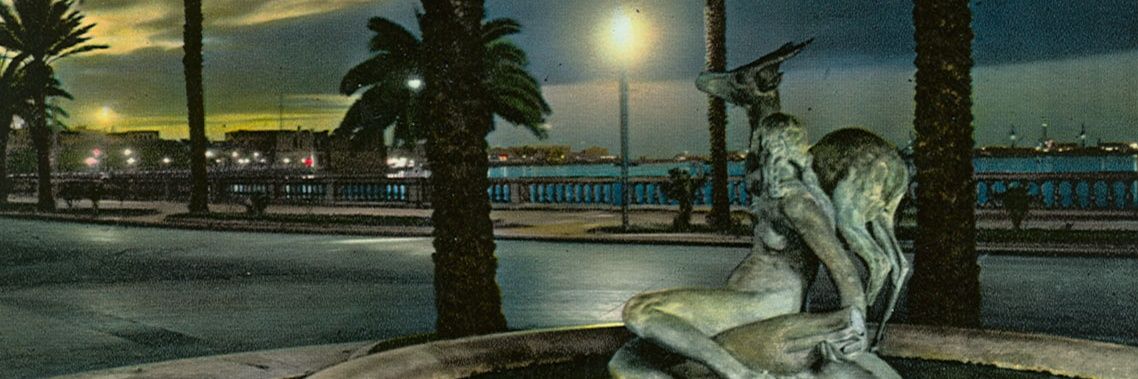mohamed corleone's banner