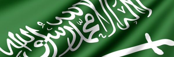 مصطفى حملي's banner