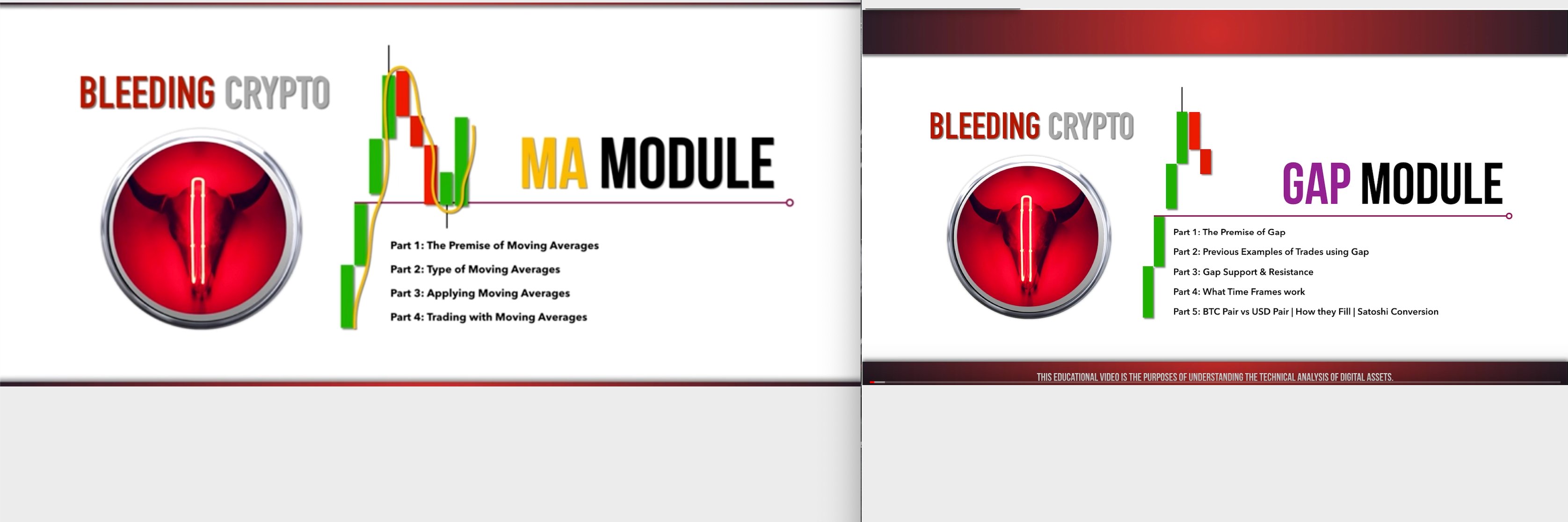 Bleeding Crypto's banner