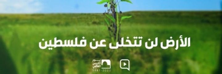 Mroué Safi🔻's banner