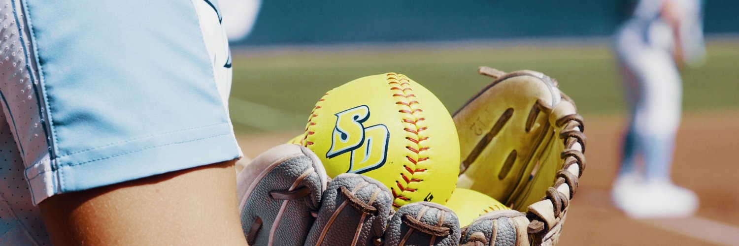 San Diego Softball's banner