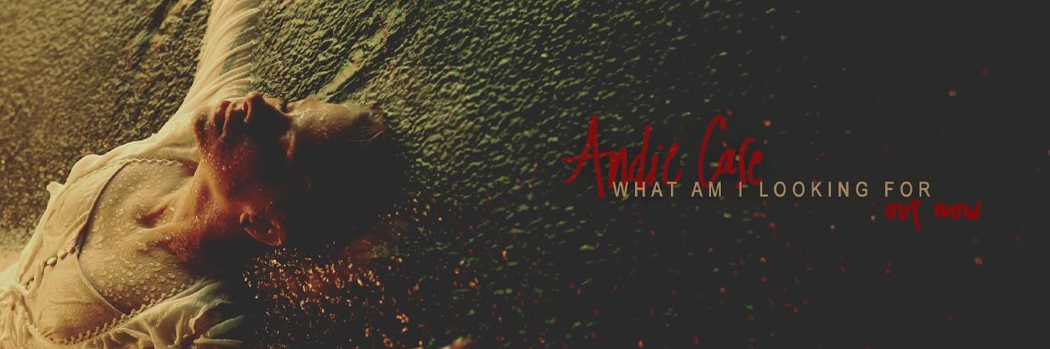 Andie Case's banner