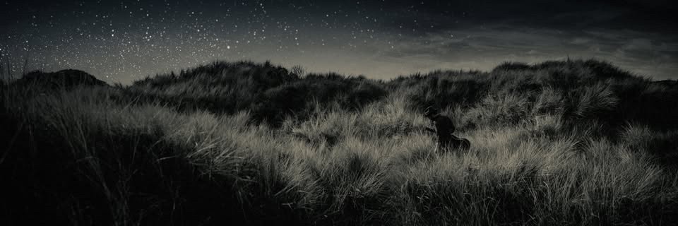 Gregory Alan Isakov's banner