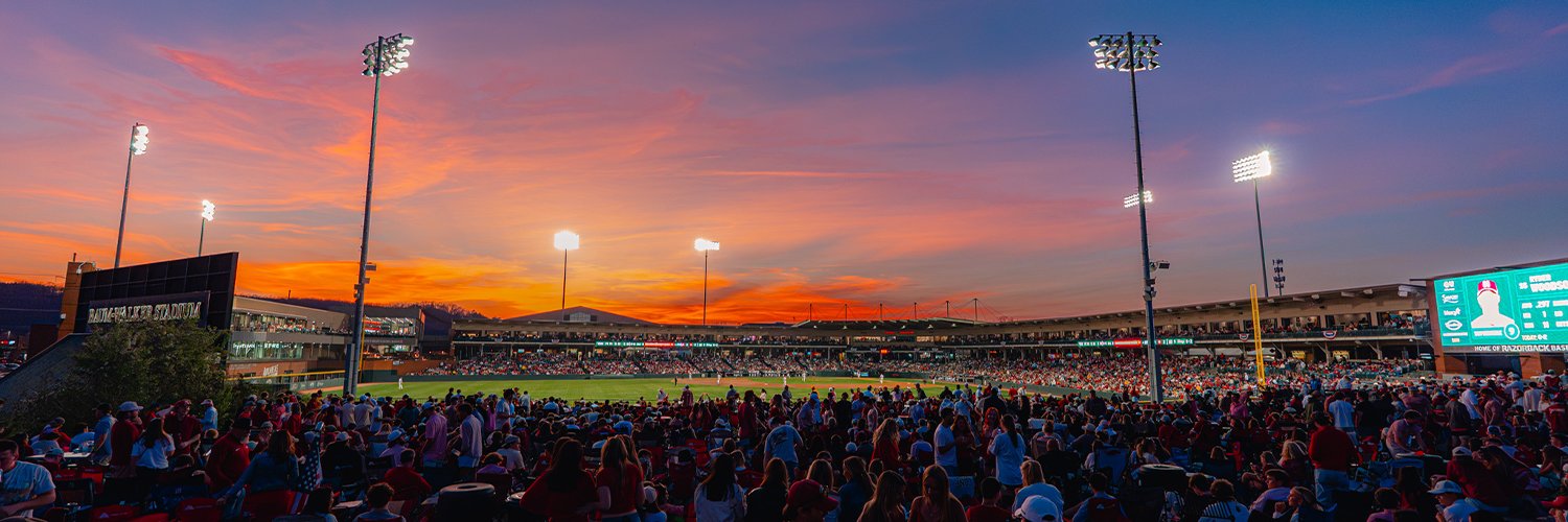 Arkansas Baseball's banner
