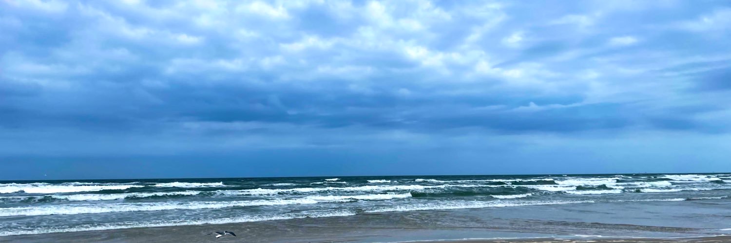 Just another Chris 𝕏's banner