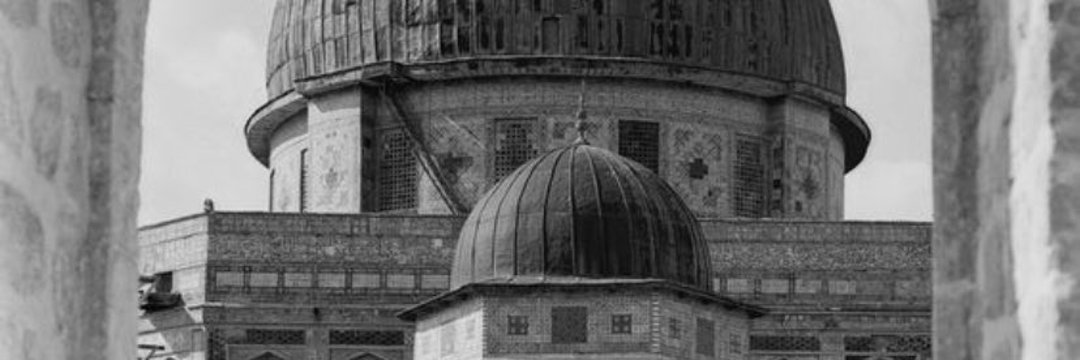 𝐀𝐡𝐦𝐚𝐝 𝐀𝐛𝐮𝐎𝐦𝐚𝐫's banner