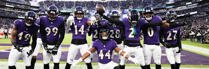 Bmore Birds's banner