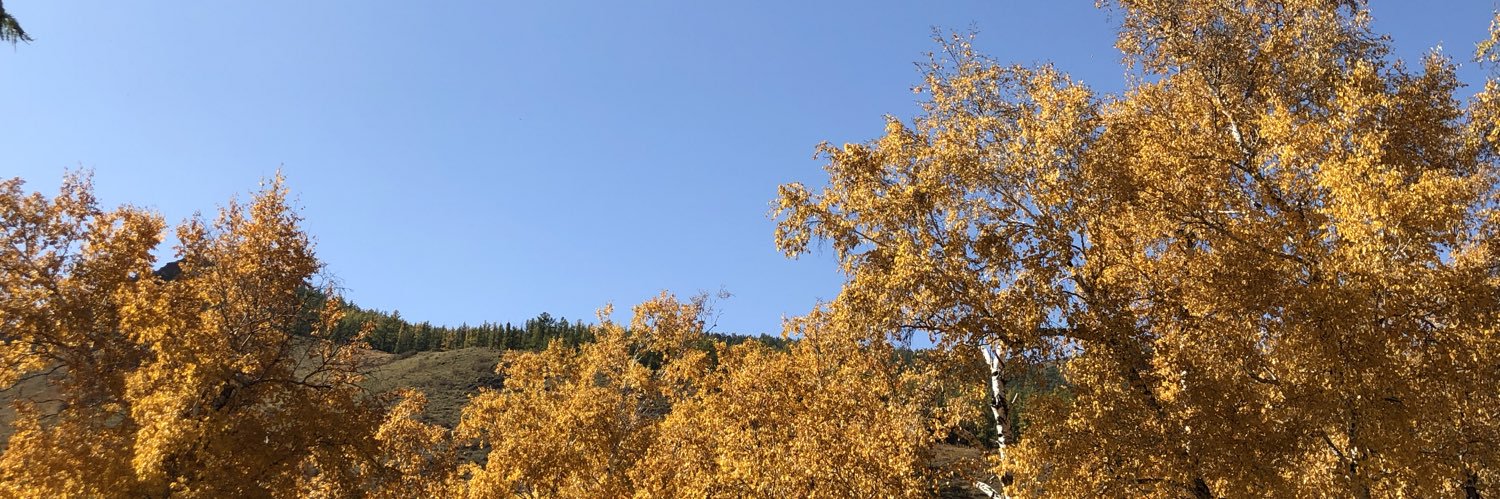 Ээгий's banner