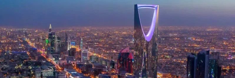 Lamia Majed Al Saud's banner