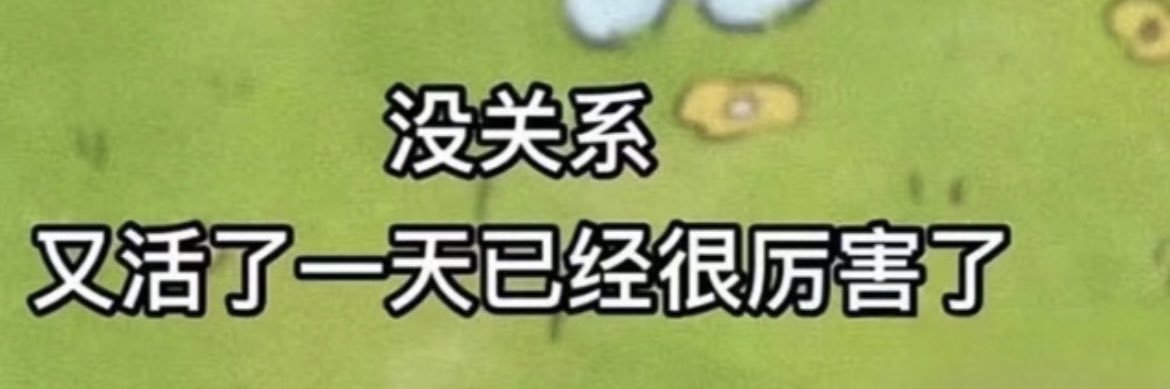 双拼推友's banner