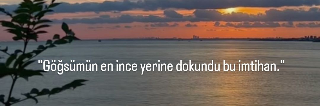 Filiz'in Düşünceleri's banner