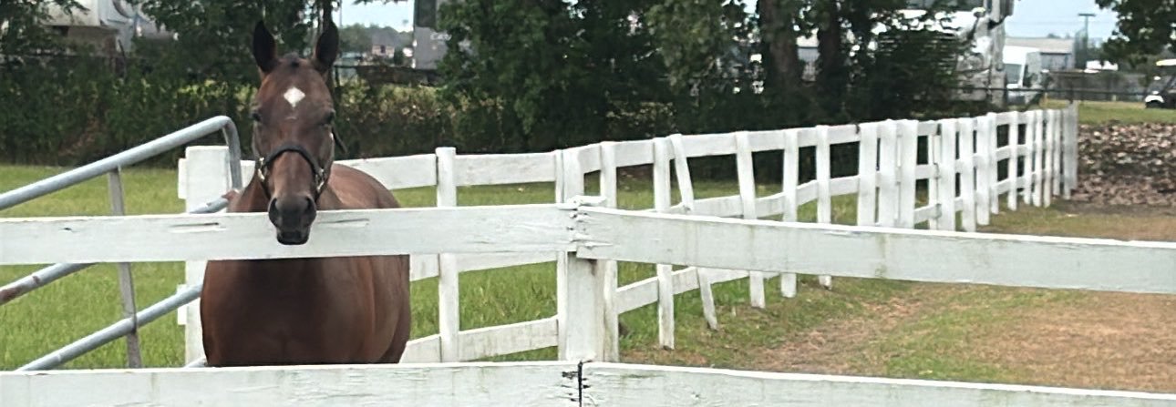 Irritated N Aggravated's banner