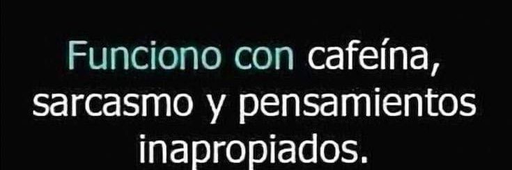 Bob el profesor's banner