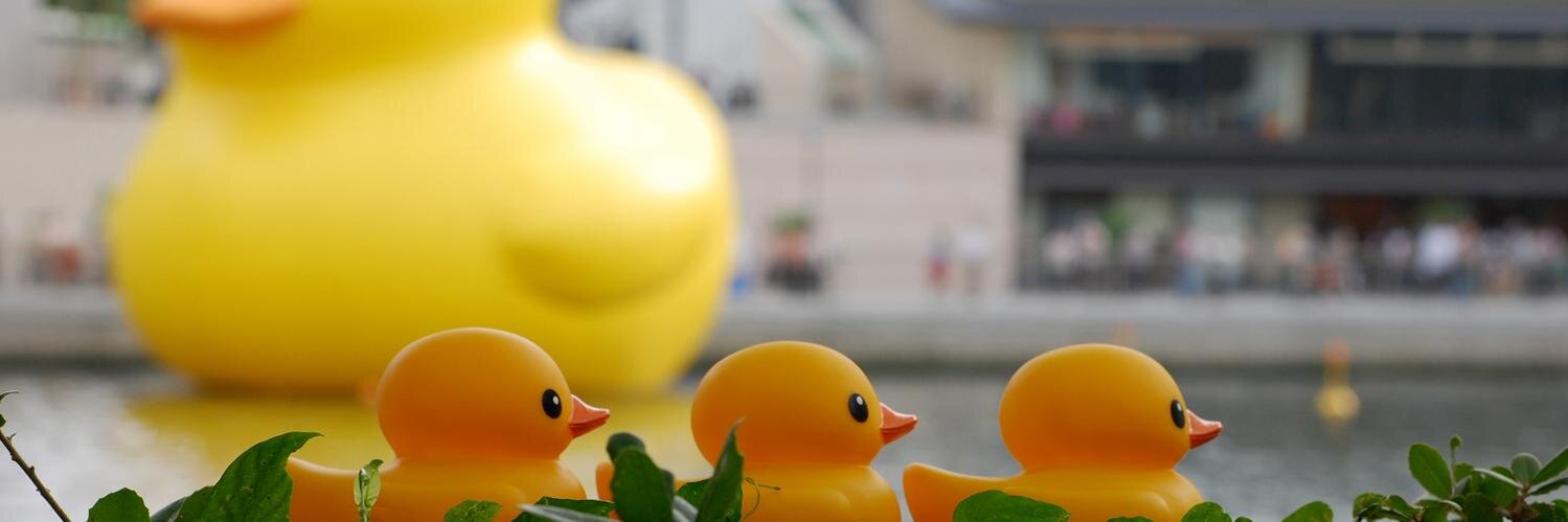 うちだ みき's banner