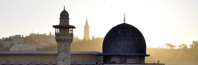 شريف علي's banner