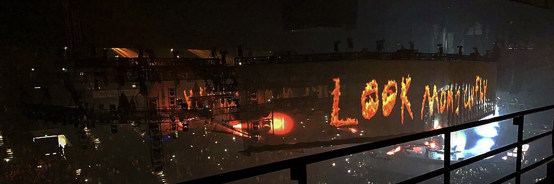 Chester's banner