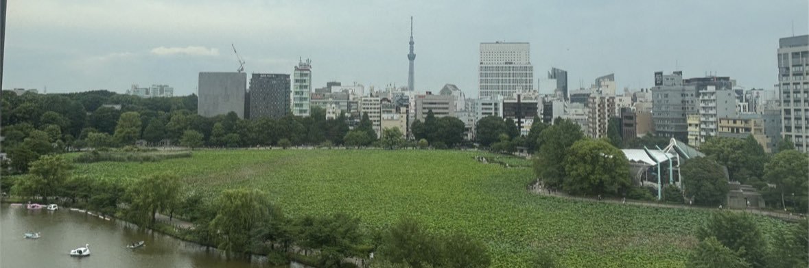 大地's banner