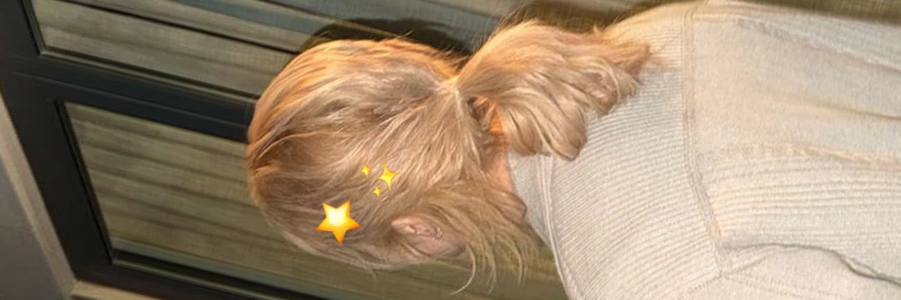 ☆'s banner