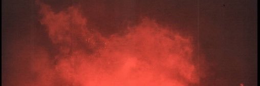 🌴's banner