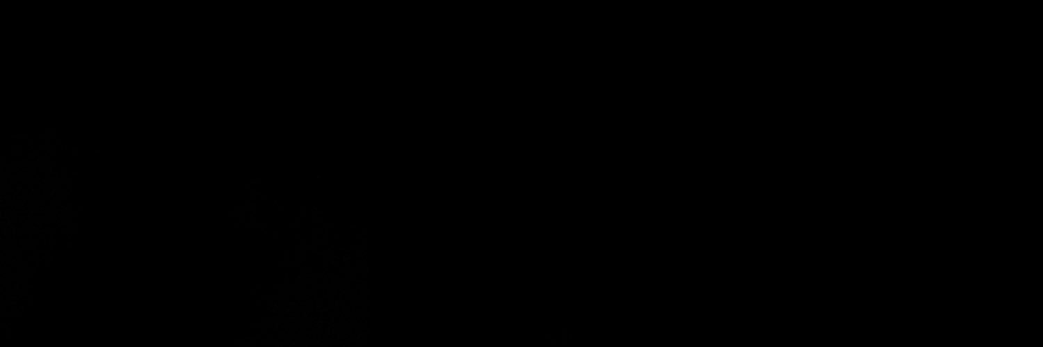 Snak's banner