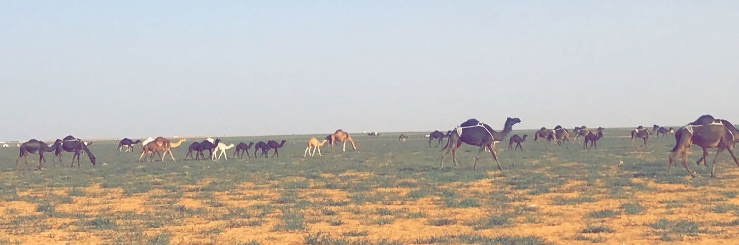 ثامـر الديحـاني's banner