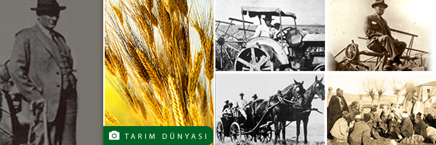Ali Ekber Yıldırım's banner