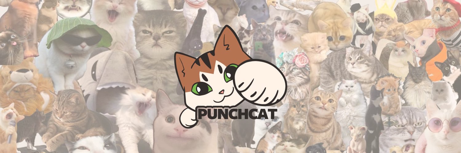 Punch Cat's banner