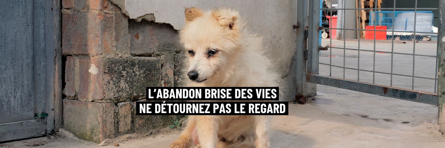 Fondation Brigitte Bardot's banner