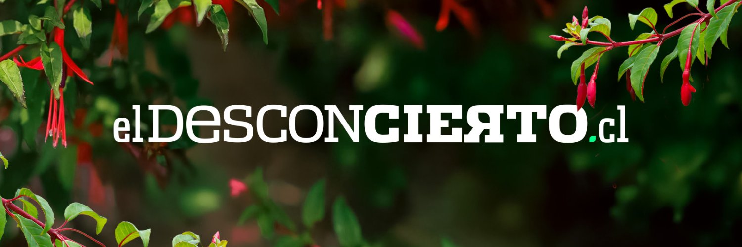 El Desconcierto's banner