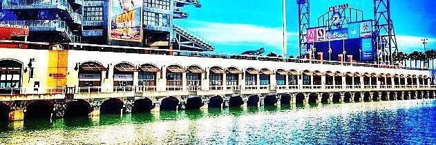 McCovey Cove DAVE's banner