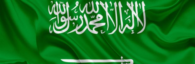 الدكتور منصور المالك 🇸🇦 Mansour Almalik's banner