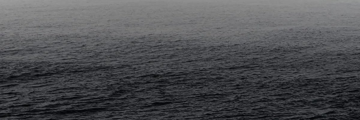 ✨ʟɪᴢ ❤︎.* ✨'s banner